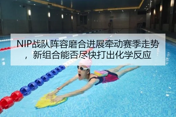 NIP战队阵容磨合进展牵动赛季走势，新组合能否尽快打出化学反应